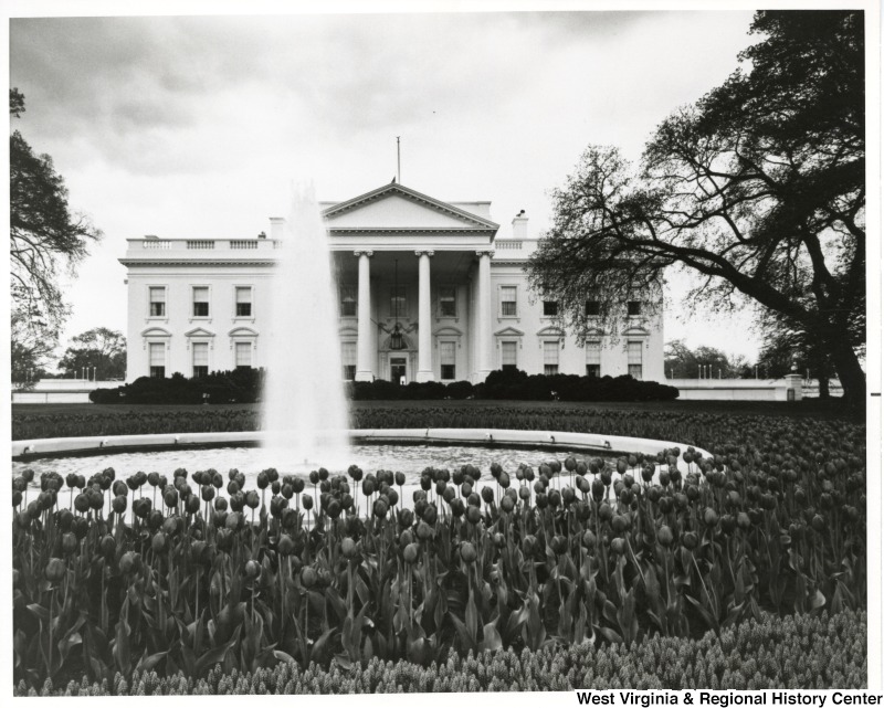 Black and white photograph of the White House featuring the fountain with all the flowers around it.