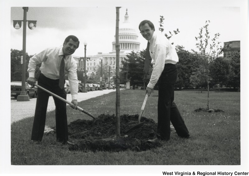 Congressman Nick Rahall and Congressman Harley O. Staggers planting a tree in front of the United States Capitol Building on West Virginia Day.